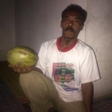 Tertimpa Kelapa, Bayi 7 Bulan Tewas