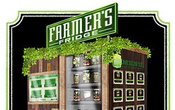 Salad Organik Segar Tersedia di Vending Machine Ini