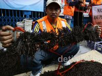 Semut Orange Operasi Ranjau Paku