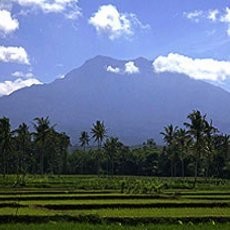 Status Gunung Raung Naik Jadi Waspada