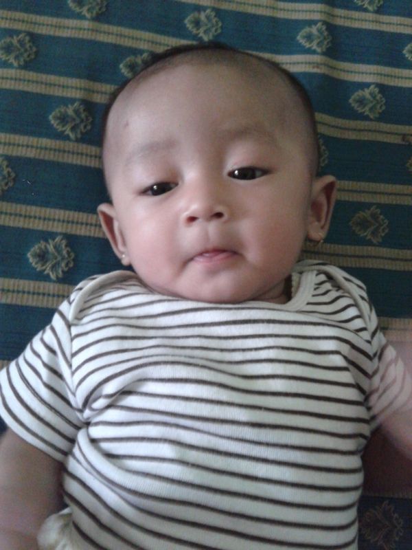 Assyifa Andhalucia Ahmad, 5 Bulan, Perempuan