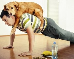Latihan Bersama Anjing Peliharaan Akan Jadi Tren Fitnes di 2014
