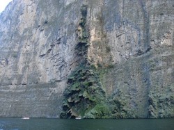 Unik! Meksiko Punya Air Terjun Berbentuk Pohon Natal