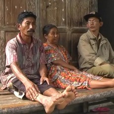 Warga Satu Dusun Lumpuh Mendadak Terserang Chikungunya