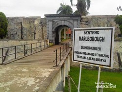 Kura-kura Raksasa di Kota Bengkulu