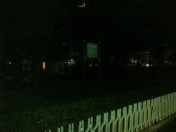 Pak Jokowi, Tolong Perbaiki Lampu di Taman Kura-kura Darmawangsa