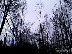 Jalur Mistis Candi Cetho