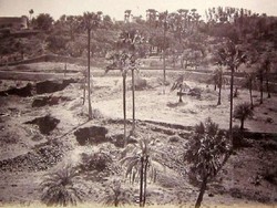  Mengintip Menara Kematian di India