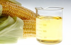 Minyak Jagung Lebih Cepat Turunkan Kadar Kolesterol Dibanding Minyak Zaitun