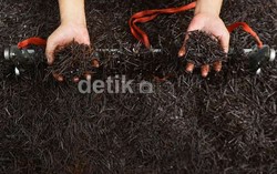 Ngeri, 7 Kuintal Paku Dipungut dari Jalanan Jakarta