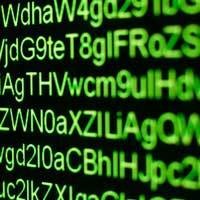 Mau Tau Rahasia Menulis Novel Laris? Ini Kata Para Ilmuwan 