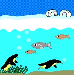 Danau dan Sungai di AS Membeku, Bagaimana Ikan-ikan di Dalamnya?