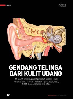 Gendang Telinga dari Kulit Udang