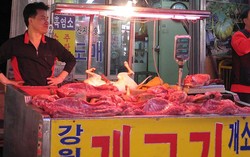 Sup Daging Anjing dan Ikan Penis, Makanan Paling Ekstrim di Korea Selatan