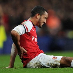 Wenger: Mustahil Walcott Bisa Pulih Lebih Cepat