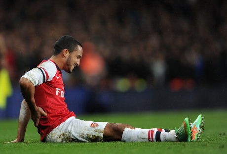 Wenger: Mustahil Walcott Bisa Pulih Lebih Cepat