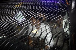 Arianto Beli 3 Telur Dekat KPK untuk Dilempar ke Anas