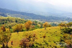 Selandia Baru? Bukan, Ini Cagar Alam Jantho di Aceh