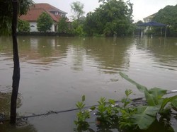 Banjir di Kebon Pala Capai 1 Meter, Anak Sekolah Pilih Libur