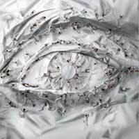 Ketika Kaki-Kaki Penari Balet Jadi Karya Seni