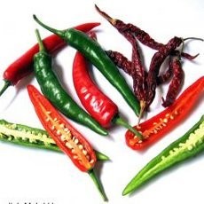 Duh! PRT Berusia 11 Tahun di India Disiksa dengan Cabai