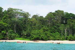 Teluk Ijo di Banyuwangi, Lebih dari Eksotis!