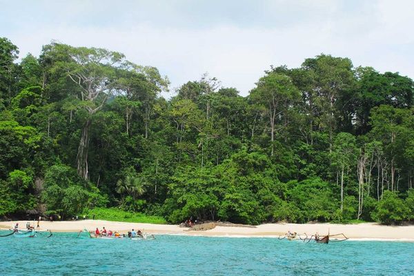 Teluk Ijo di Banyuwangi, Lebih dari Eksotis!