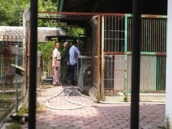 Lika-liku Satwa di KBS: Ada yang Mati, Ada yang Dibarter