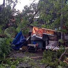 Braak! Pohon Tumbang Timpa Mobil, 6 Sepeda Motor dan 5 Warung