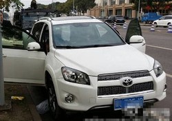 Harimau Mati Ditemukan di Dalam Toyota RAV4