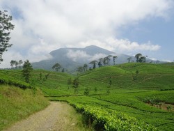Masjid Agung & 2 Destinasi Untuk Liburan Maulid Nabi di Garut