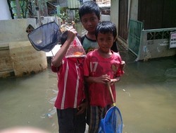 Asyiknya Anak-anak Kampung Pesing Menjaring Ikan Saat Banjir