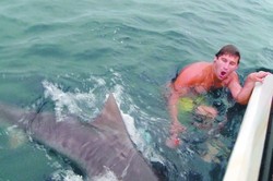 Nekat Bercanda dengan Hiu, Surfer Australia Nyaris Dimakan