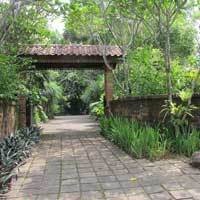 Rumah Tropis Indonesia ala Seniman F.Widayanto, Tetap Adem Tanpa Pendingin