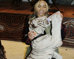  Rayakan Ultah ke-2 Blue Ivy, Beyonce Sewa Kebun Binatang