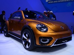 Lebih Dekat dengan Si Kodok Versi Kekar