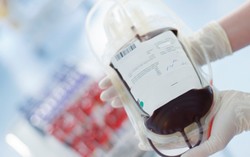 Darah Bisa Jadi Pengganti Putih Telur dan Diolah Jadi Es Krim dan Cake