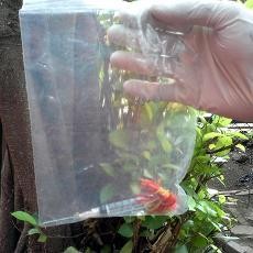 Dirut Operasional KBS Anggap Temuan Jarum Suntik Hal Biasa