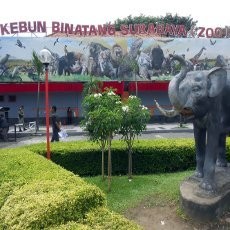 52 CCTV akan Awasi Satwa-Satwa KBS