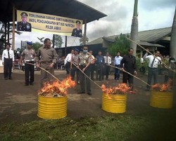 Polisi Bakar Ganja Senilai Hampir Rp 1 Miliar Milik Sindikat Bogor