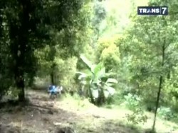 Evakuasi Korban Banjir Bandang