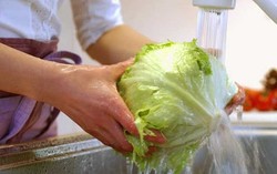 Bayam dan Apel Harus Dicuci Bersih untuk Melarutkan Sisa Pestisida (2)