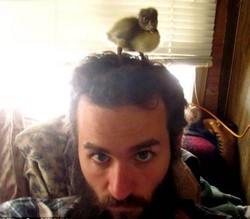 Penyayang Hewan Relakan Jenggot Panjangnya Jadi Sarang Itik