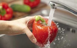 Bayam dan Apel Harus Dicuci Bersih untuk Melarutkan Sisa Pestisida (1)