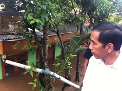 Jokowi Kunjungi Pulau yang Dikepung Banjir Ciliwung di Condet