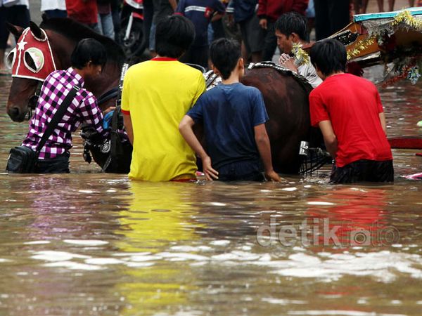 Terobos Banjir, Delman Terperosok ke Selokan