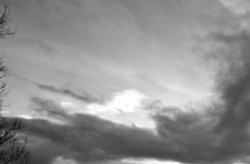 Bidikan Eksotis Fotografer Korban Banjir 