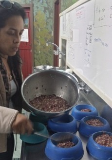 Hebat! WNI Turut Bantu Penangkaran Kiwi di Selandia Baru