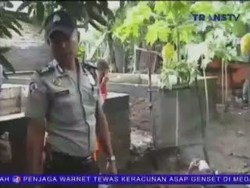 Menghindari Anjing dan Lebah Saat Hujan, 4 Bocah Tewas
