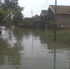 Sungai Meluap, 260 Rumah dan 3 SD di Demak Terendam Air